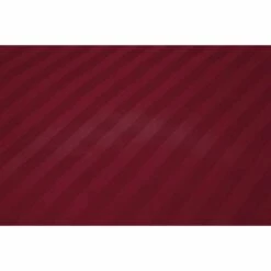 Ten Cate 100% Katoensatijnen Lits Jumeaux Dekbedovertrek - 240x200/220 - Rood -NL Beddengoed Verkoop 2024 1000023983 0111