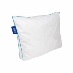 Silvana Hoofdkussen Start