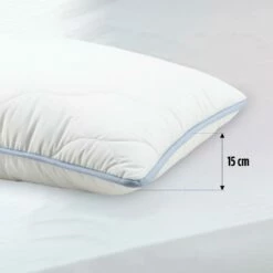 Klassiek Purity 95 °C Kussen - 50x70 Cm -NL Beddengoed Verkoop 2024 1000080655 0103