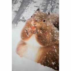 Papillon Milou Dekbedovertrek - 140x200/220 Cm - Multikleur -NL Beddengoed Verkoop 2024 1387452107 0102