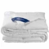 De Witte Lietaer Dekbed Ducky - Hotelmaat - 260 X 240 Cm - Donsvulling -NL Beddengoed Verkoop 2024 1607299189