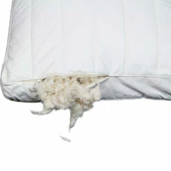 Polydaun Hoofdkussen First Kapok - 60x50 Cm -NL Beddengoed Verkoop 2024 81024519 9000