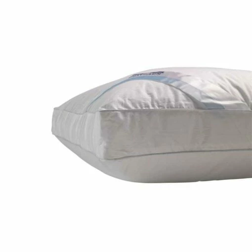 Polydaun Hoofdkussenset Elke - 65x55x5 Cm -NL Beddengoed Verkoop 2024 81025962